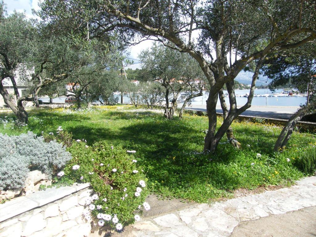 Apartments Maslina Lumbarda Exterior photo